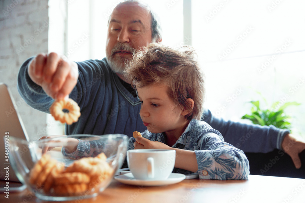 Using devices. Grandfather and his grandson spending time together insulated at home. Having fun, stadying online, reading and cleaning up. Concept of quarantine, family, love, realtions, togetherness