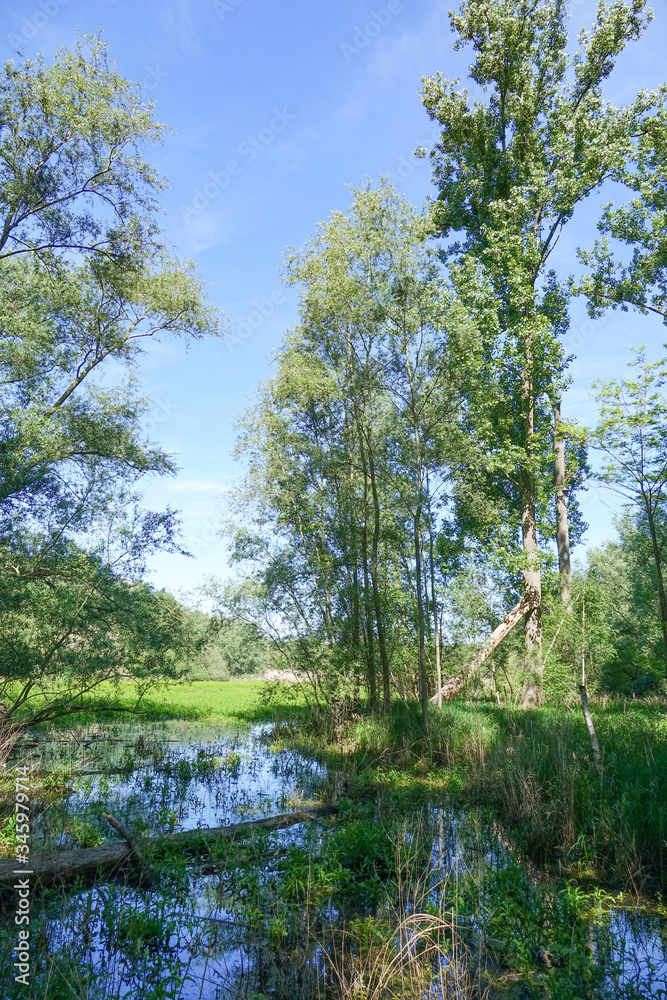 Obraz premium Worringer Bruch