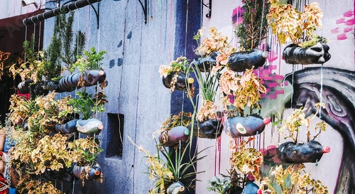 Flowers on the wall Communa 13 Medellin Colombia photo