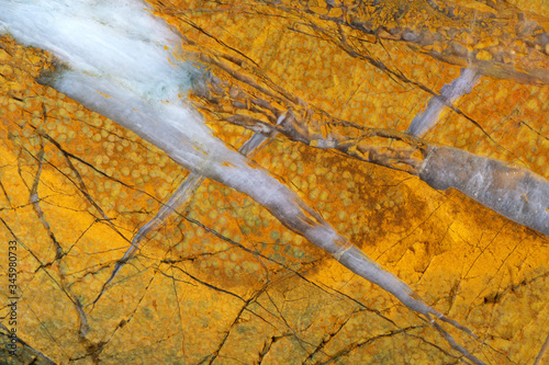 Texture of natural yellow jasper with cracks and veins of white quartz photo