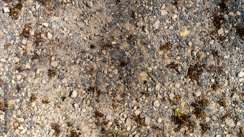 Close up of a natural walkway with pebbles, stones and loose dirt.