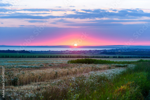 Fototapeta Naklejka Na Ścianę i Meble -  a picturesque sunset over blooming fields and a coastal city