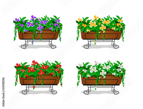 set of garden flowers in hanging pots. Decorations hanging on the balcony of the veranda in the in a fence. Flowers for the interior.
