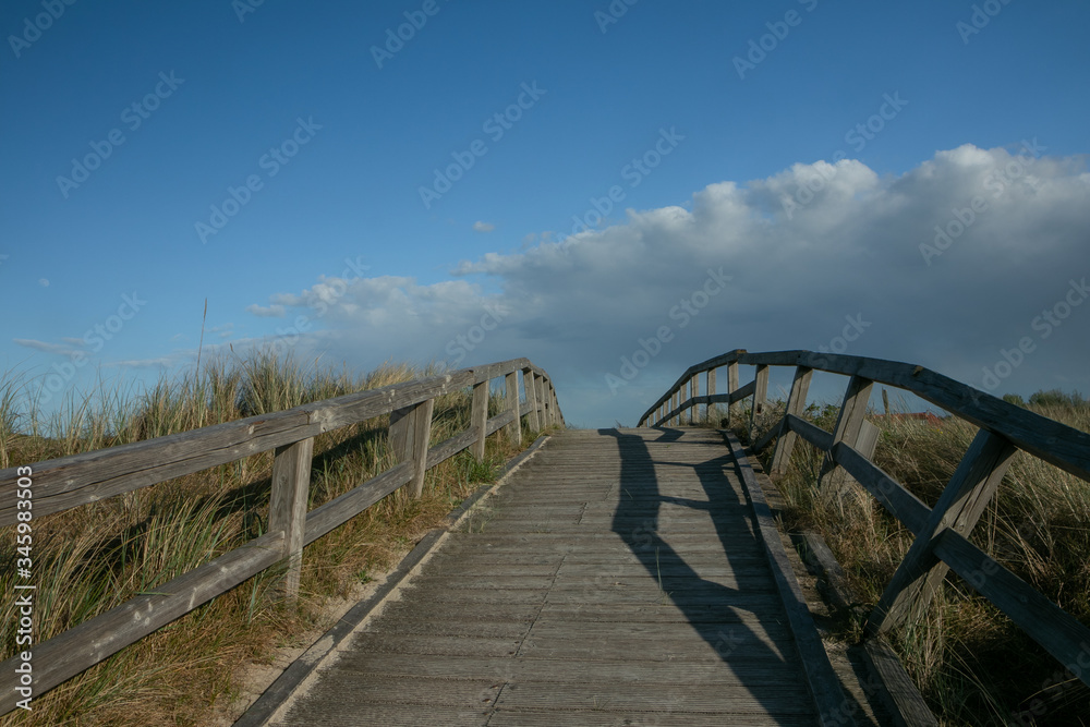 wooden boardwalk with beach grass, copy space