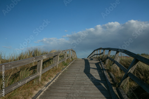 wooden boardwalk with beach grass, copy space