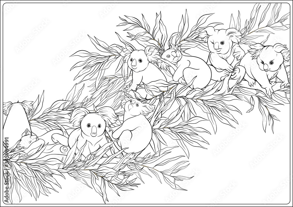 Fototapeta premium Koala and eucalyptus. Coloring page for the adult coloring book. Outline hand drawing vector illustration..