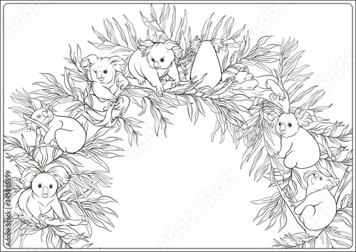 Canvas Print Koala and eucalyptus