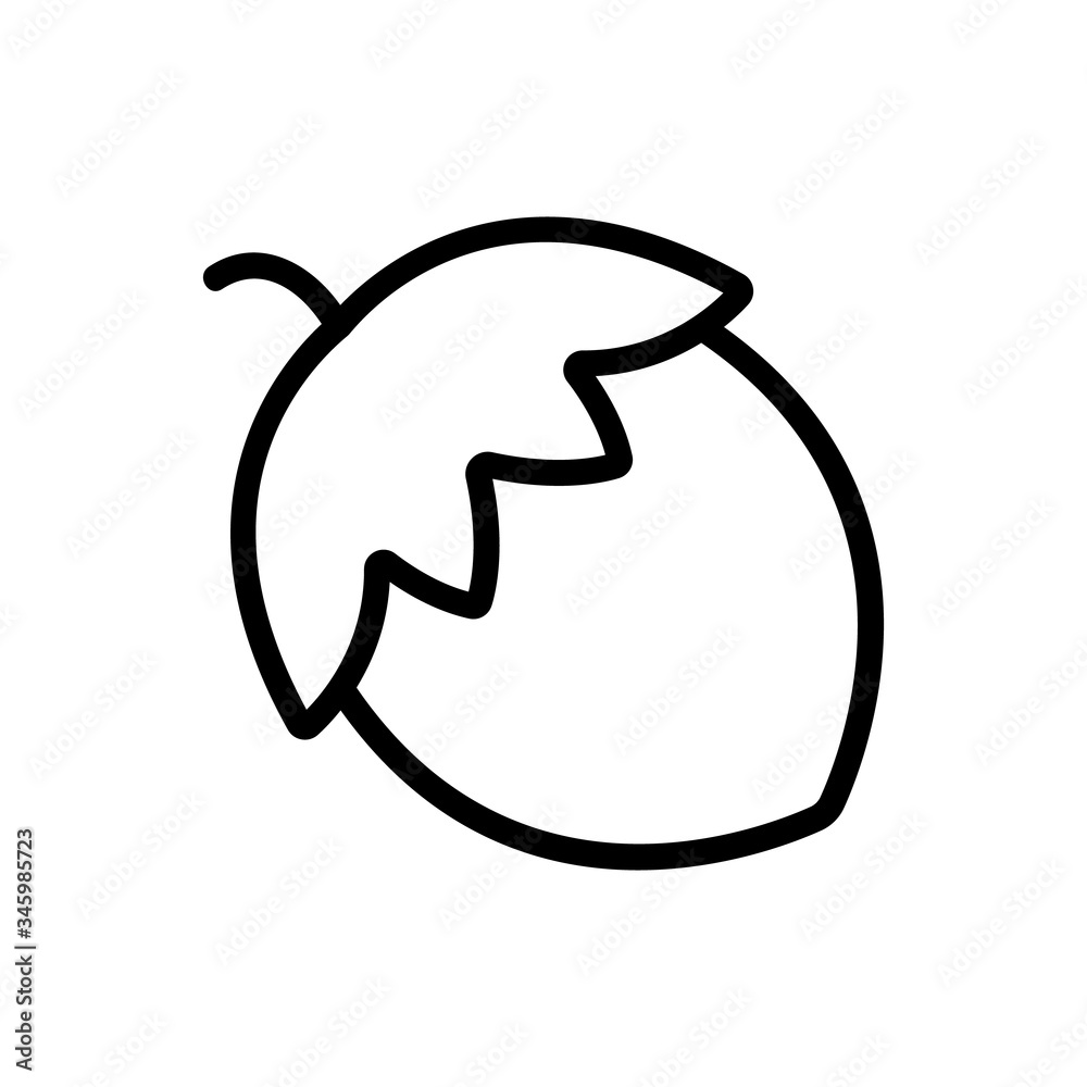 acorn icon vector. acorn sign. isolated contour symbol illustration