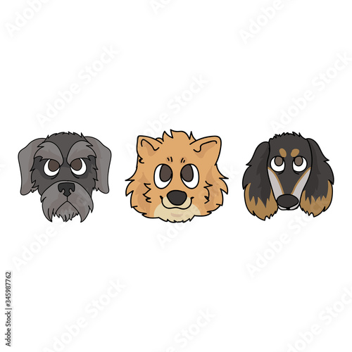 Cute cartoon puppy faces breed set vector clipart. Pedigree kennel doggie breed for dog lovers. Purebred show dog Saluki, Pomeranian and Schnauzer illustration. Isolated terrier hound. 