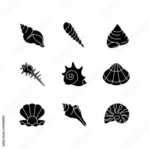 Sea shells black glyph icons set on white space. Various molluscan shells, conchology silhouette symbols. Aquatic souvenirs, seashells collection. Various cockleshell vector isolated illustrations