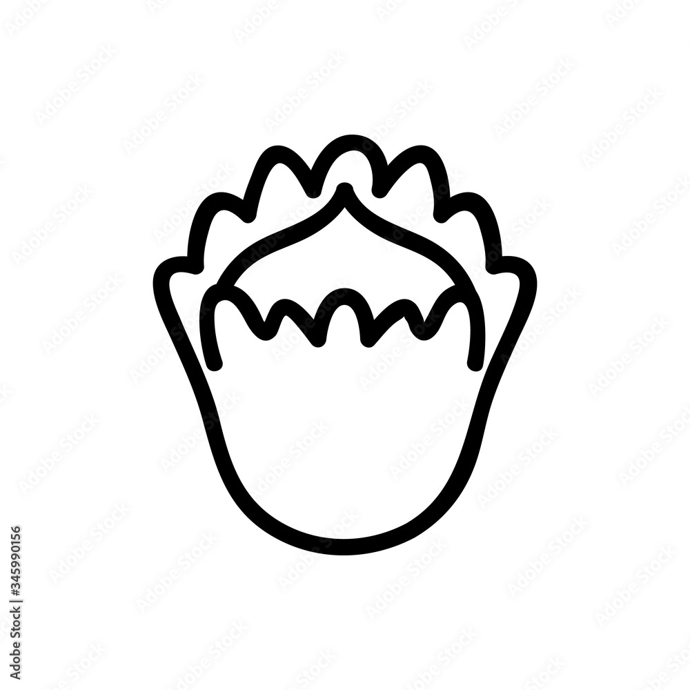 cobnut icon vector. cobnut sign. isolated contour symbol illustration cobnut icon vector. cobnut sign. isolated contour symbol illustration