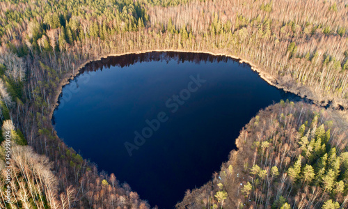 lake in a spring forest from the above