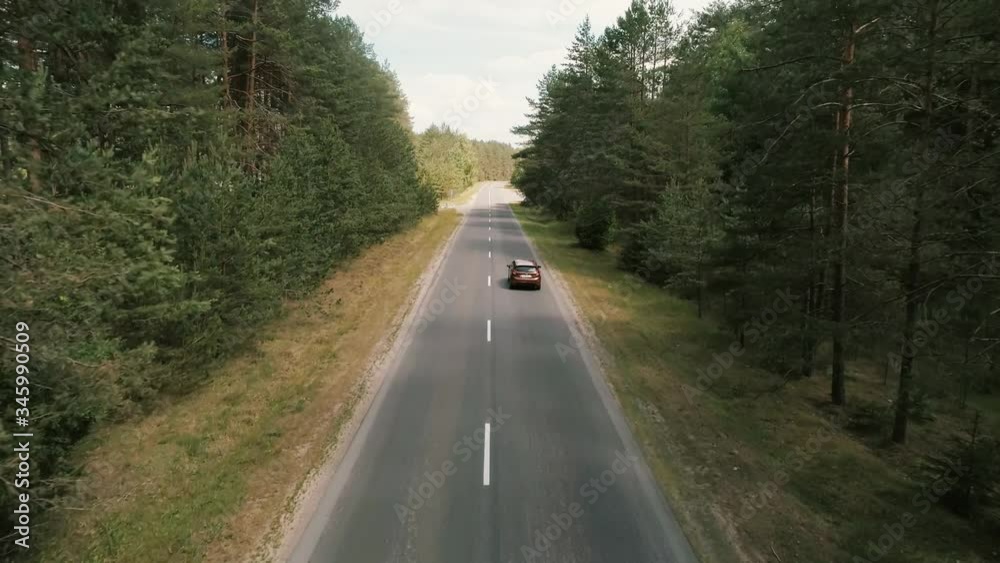 car rides on the road in a pine forest aerial photography car rides on the road in a pine forest aerial photography