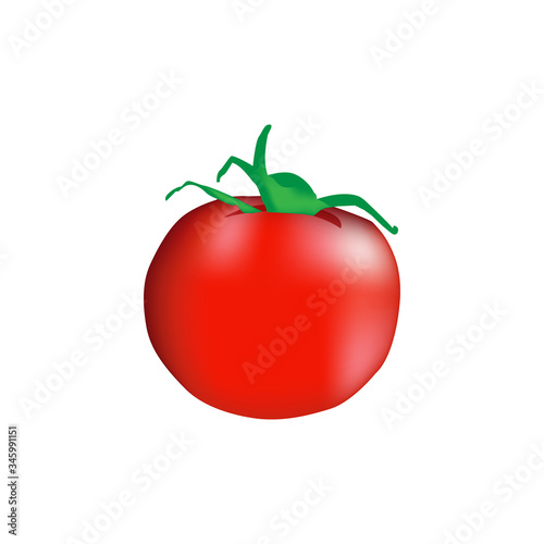 Fresh tomato illustration vector for business design element
