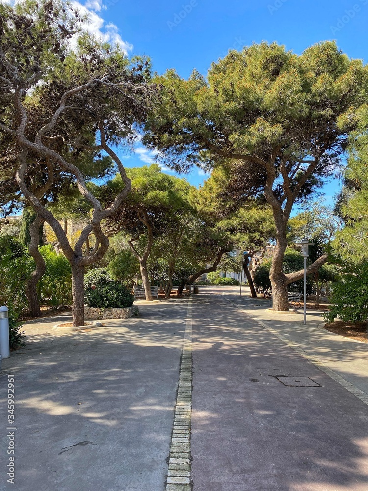 Obraz premium road in the park