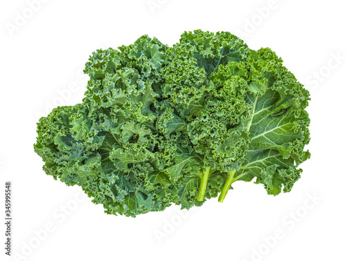 Kale leaf salad vegetable isolated  on white background. Creative layout made of kale closeup. Flat lay. Food concept..