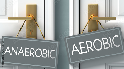 Obraz na plátně aerobic or anaerobic as a choice in life - pictured as words anaerobic, aerobic
