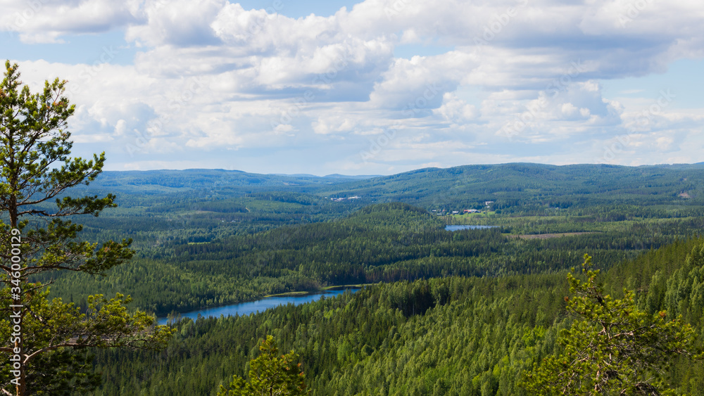 View from a mountain with lake and forest