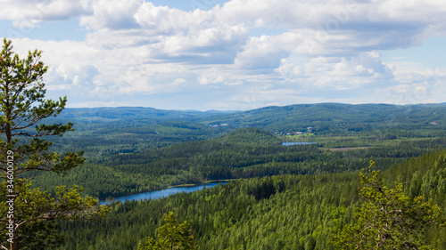 View from a mountain with lake and forest