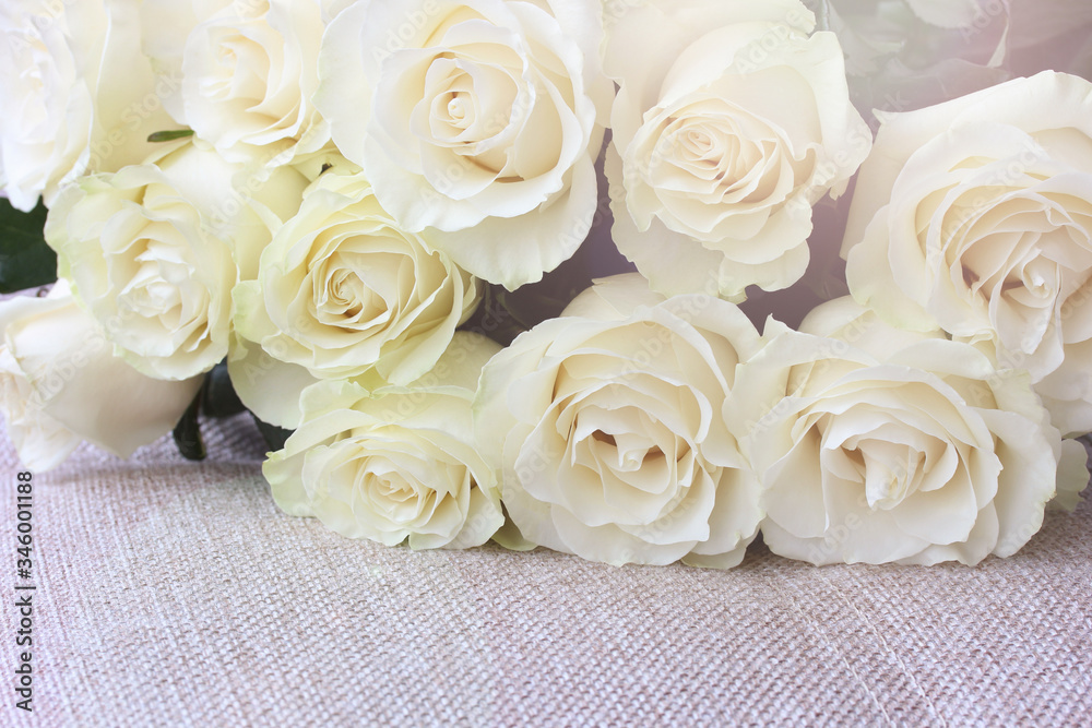 bouquet of light cream roses on a fabric surface.