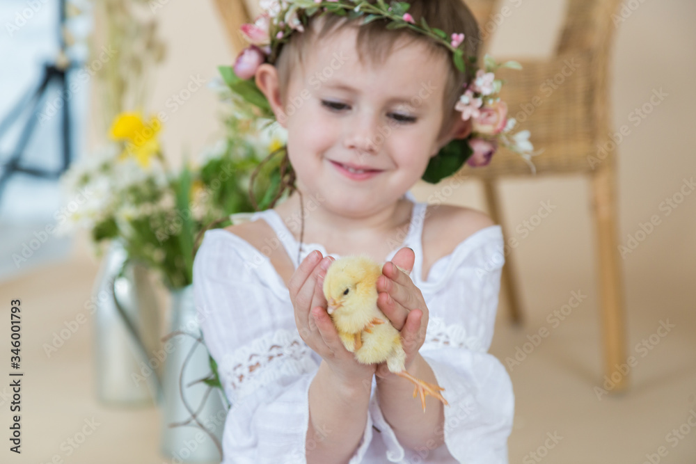 A Little girl in a white dress is sitting on the floor in-studio on the beige background holding the yellow chicken in her hands A Little girl in a white dress is sitting on the floor in-studio on the beige background holding the yellow chicken in her hands