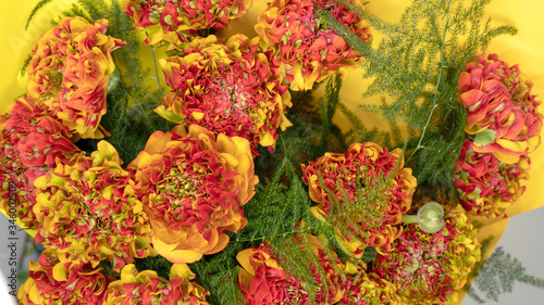 Beautiful red and organe ranunculus flower bouquet. Floral arrangement close-up macro shot. 