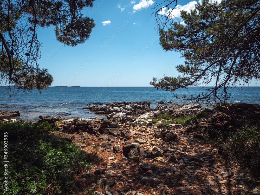 The rocky Adriatic coast with trees during a sunny day The rocky Adriatic coast with trees during a sunny day