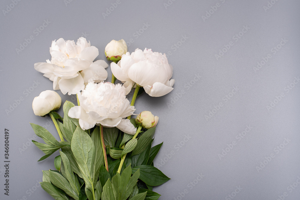 Bouquet of white peonies on a gray background. Bouquet of white peonies on a gray background.