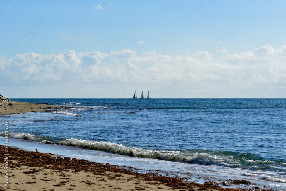 veleros en el mar en Marbella 