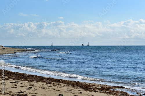veleros en el mar en la playa de Marbella 