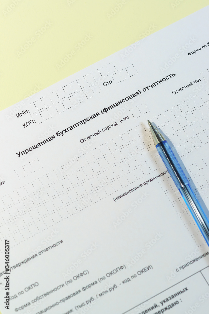Annual simplified accounting (financial) statements (KND 0710096) and a pen Annual simplified accounting (financial) statements (KND 0710096) and a pen