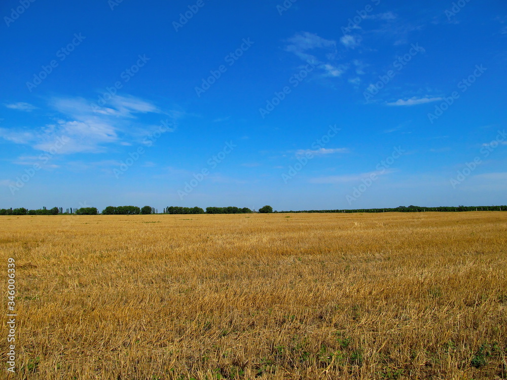 Canted yellow field and blue sky.