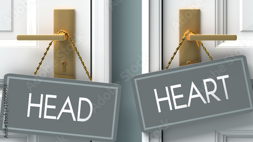 heart or head as a choice in life - pictured as words head, heart on doors to show that head and heart are different options to choose from, 3d illustration