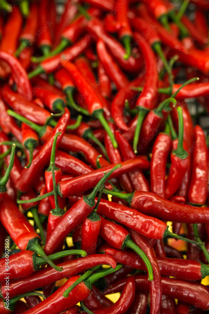 a lot of small red hot chili peppers