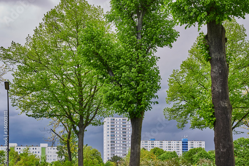 Skyscrapers in Berlin, Germany, behind street trees framed by gloomy storm clouds. photo