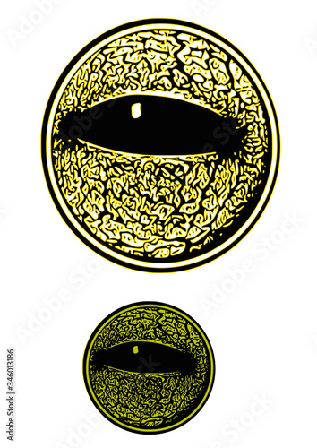 ojos anfibios