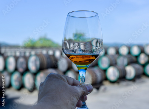 Sommelier hand holding a glass with wine inside