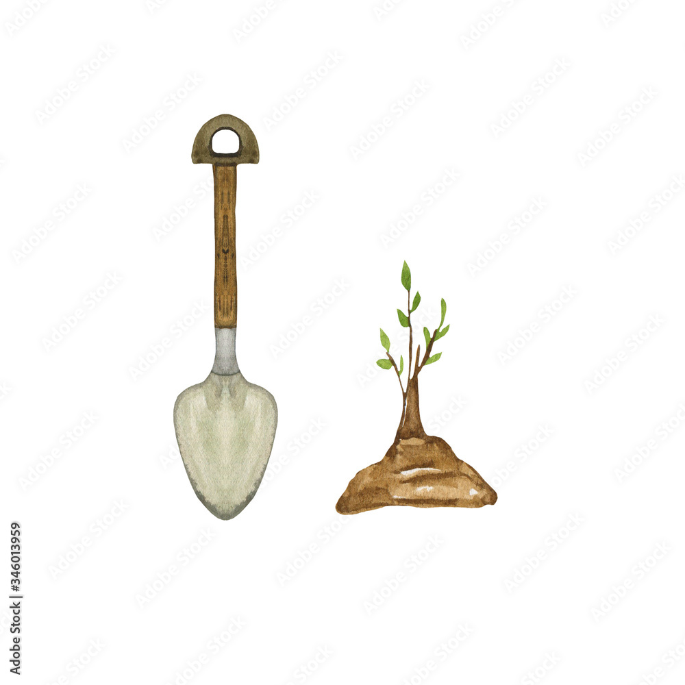 Watercolor illustration of a set of spade and a growing tree. Hand ...