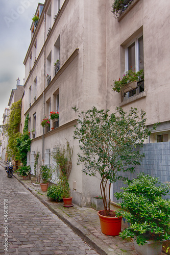 Fototapeta Naklejka Na Ścianę i Meble -  Charming flower quarter with apartment building in Paris, Rue des Thermopyles, 14 arrondisement. France.