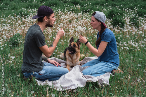 Family photo shoot with a dog in a field of dandelions. A guy, a girl and a German shepherd in nature.