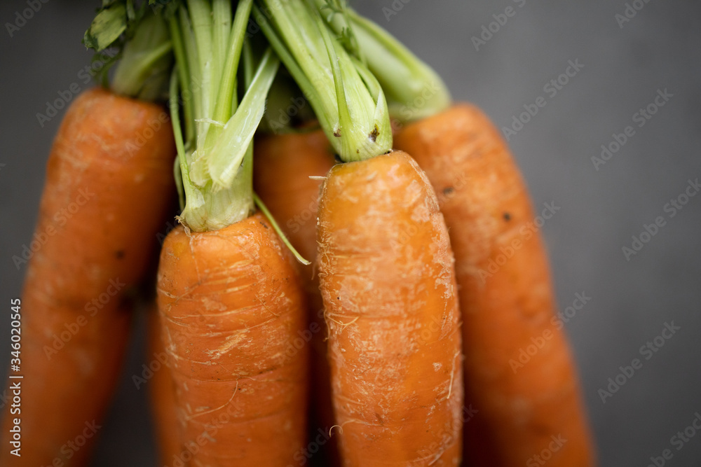 Bundle of organic carrots with the stems attached Bundle of organic carrots with the stems attached