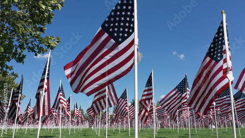 Flying low as American Flags blow in the wind as they cover a park during memorial display. photo