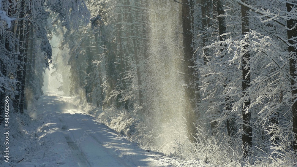 Obraz premium Zimowo