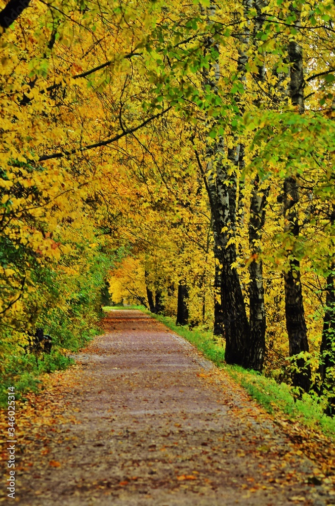 Autumn in the park