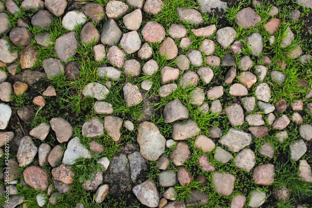 Fototapeta premium Małe kamienie leżące pośród trawy
