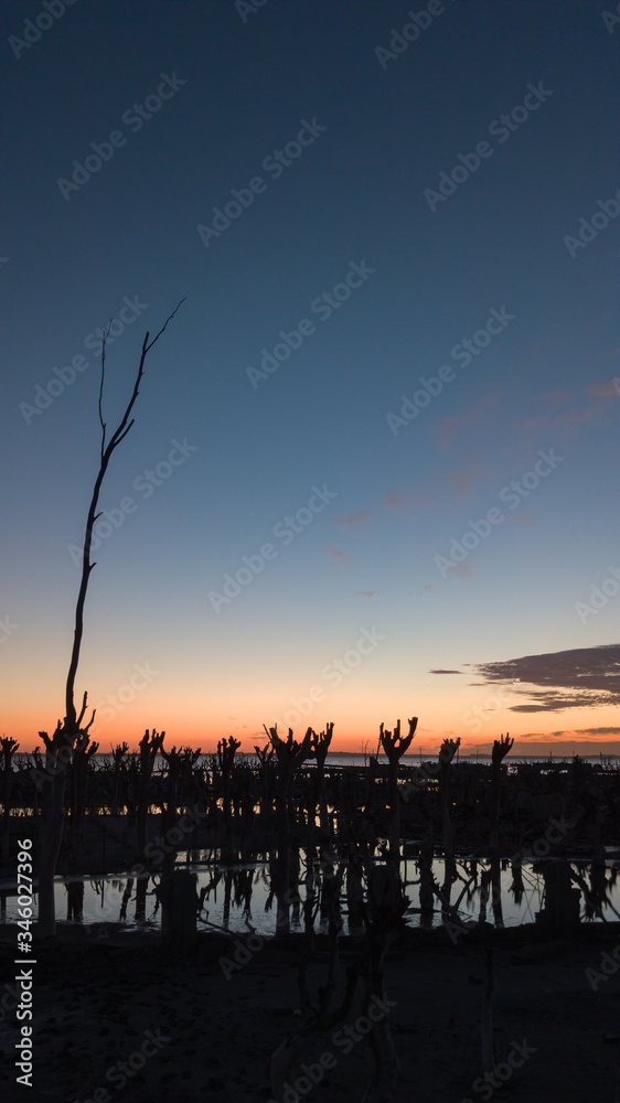 Naklejka premium Sunset on the epecuen lake, the orange sky