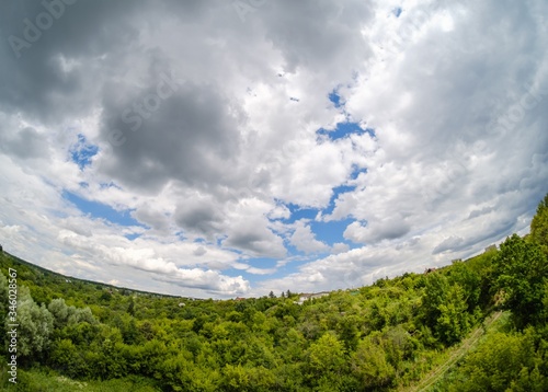 forest sky wide angle tree,...