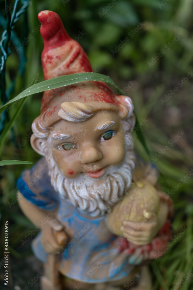 Gartenzwerg Gartenzwerg