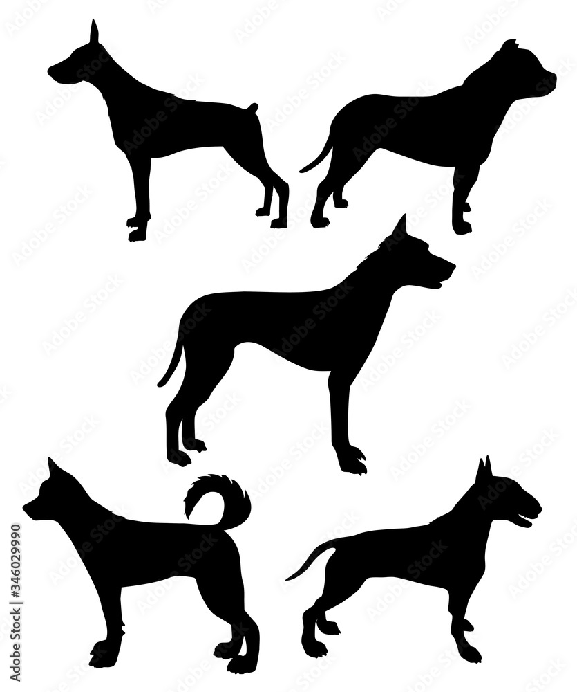 silhouettes of dogs  vector