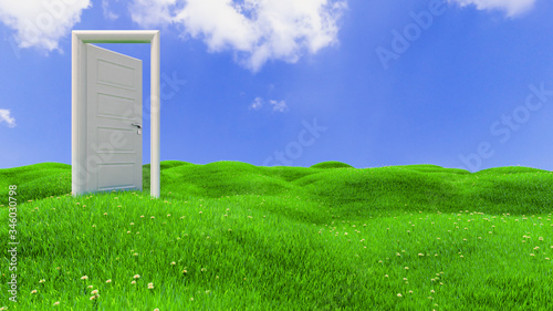 Fotografie open door on green flowery hills 3D rendering
